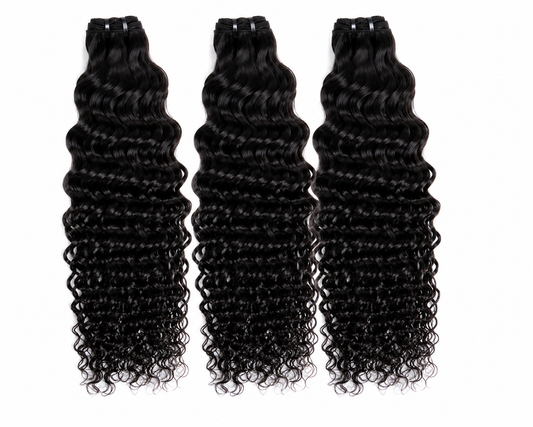 Burmese Curl - Bundle Deals
